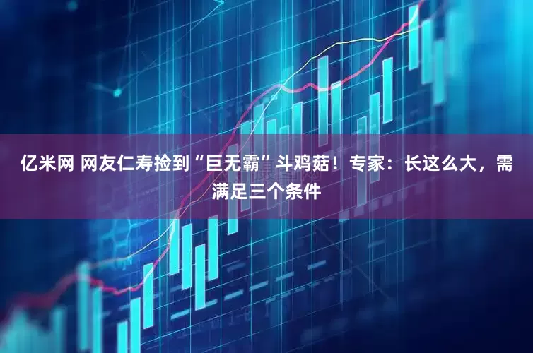 亿米网 网友仁寿捡到“巨无霸”斗鸡菇！专家：长这么大，需满足三个条件