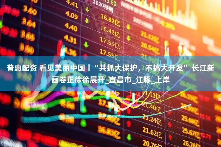普惠配资 看见美丽中国丨“共抓大保护，不搞大开发” 长江新画卷正徐徐展开_宜昌市_江豚_上岸