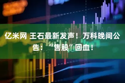 亿米网 王石最新发声！万科晚间公告：“售股”回血！